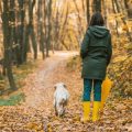 Incorporating Walking Into Your Commute: Healthier Travel for Longer Life