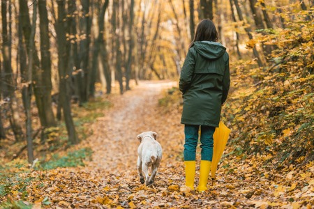 Incorporating Walking Into Your Commute: Healthier Travel for Longer Life