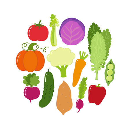 Top 15 Functional Foods for Anti-Aging: A Comprehensive Guide for Americans