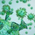 The Foundations of Gut Health: Exploring the Microbiome from a Holistic Nutrition Perspective