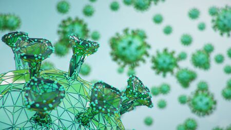 The Foundations of Gut Health: Exploring the Microbiome from a Holistic Nutrition Perspective