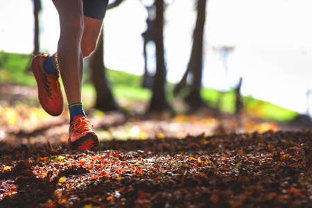 Tracking Progress: How to Measure Success in Your Stretching Routine for Longevity