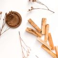 The Role of Native American Herbal Medicine in Modern Wellness Practices