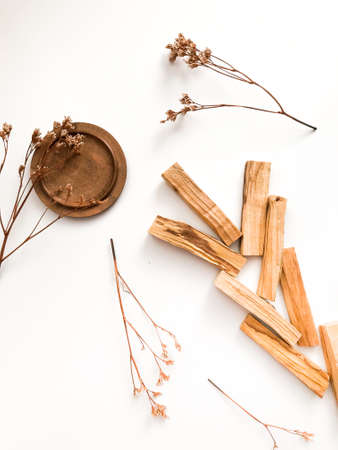 The Role of Native American Herbal Medicine in Modern Wellness Practices