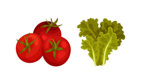 Dietary Patterns Linked to Healthy Aging