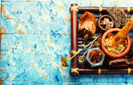 A Deep Dive into Immune-Boosting Herbal Tonics You Can Make at Home