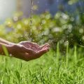The Science and Benefits of Forest Bathing: How Immersing in Nature Can Transform Your Life