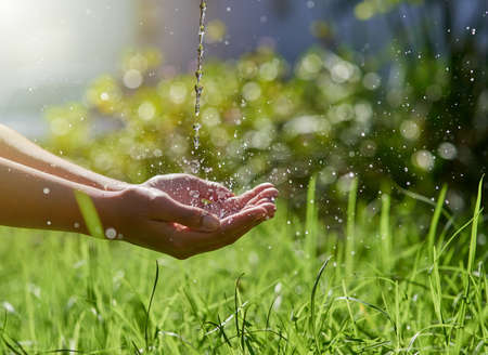 The Science and Benefits of Forest Bathing: How Immersing in Nature Can Transform Your Life