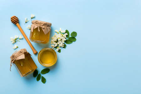 Supporting Immunity Naturally: Ayurvedic Herbs and Remedies for the American Family