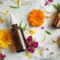 Popular American Herbs and Their Uses in Managing Common Ailments