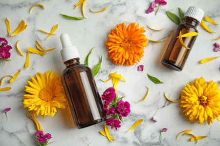 Popular American Herbs and Their Uses in Managing Common Ailments