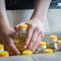The Ultimate Beginner’s Guide to Essential Oils: History, Safety, and Modern Applications