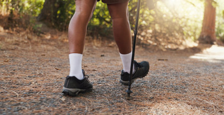 Urban Walking: Navigating City Streets for Health and Healing