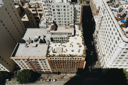 Environmental Design: How Blue Zones Inspire Healthier American Homes and Cities