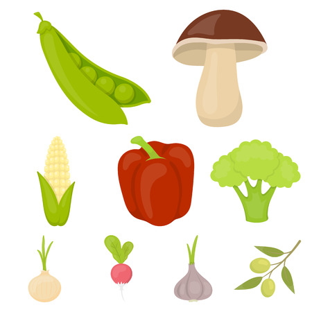 Top Anti-Inflammatory Foods to Add to Your Grocery List