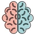 The Gut-Brain Connection: How Holistic Nutrition Can Improve Mental Health