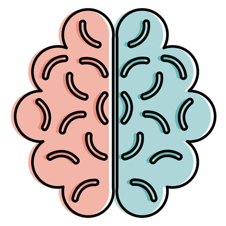 The Gut-Brain Connection: How Holistic Nutrition Can Improve Mental Health