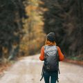 Tech Detox in the Wild: Unplugging for Mental Clarity and Resilience