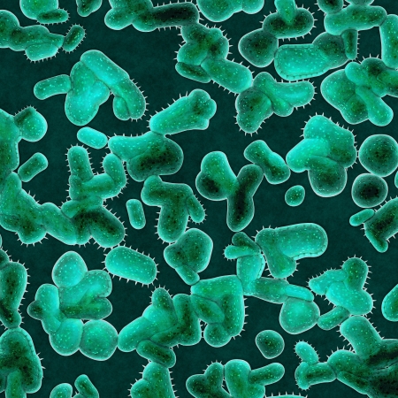 Gut Health and Longevity: The Science of the Microbiome and Aging