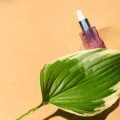 Mixing Scents: Creating Your Own Signature Essential Oil Blends