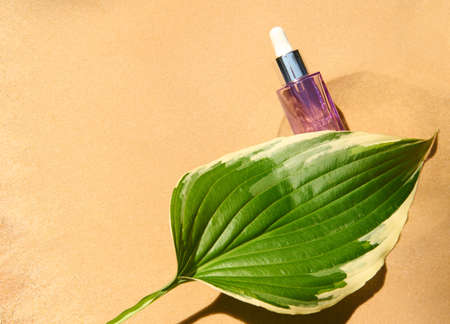 Mixing Scents: Creating Your Own Signature Essential Oil Blends