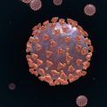 Navigating COVID-19 and Other Infectious Diseases: Lessons for Long-Term Immune Health in the US