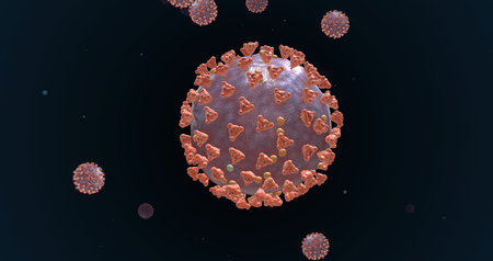 Navigating COVID-19 and Other Infectious Diseases: Lessons for Long-Term Immune Health in the US