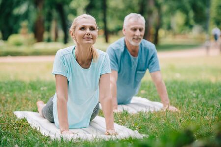 Herbal Sleep Aids for Seniors: Special Considerations and Best Practices in the US