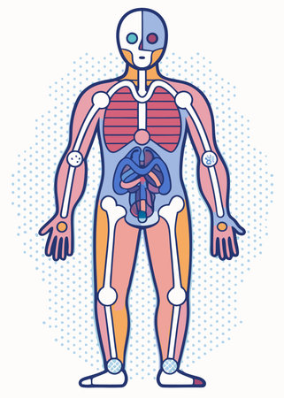 How Everyday American Habits Impact Detox Organs