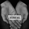 Mindful Breathing in the Age of Burnout: Coping with Modern American Stressors