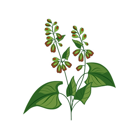 Valerian Root: America’s Go-To Herbal Nightcap