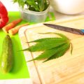 Herbal Teas for Focus and Energy: Homemade Recipes to Power Your Day