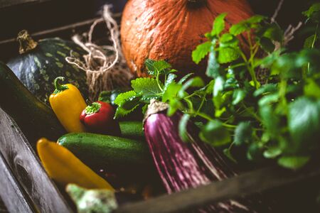 Beyond Kale: Exploring Local and Seasonal Functional Foods for Better Health