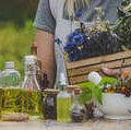 From Garden to Bottle: Sourcing and Preparing Ingredients for Homemade Tinctures