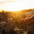 Self-Compassion Meditation: Healing Emotional Wounds