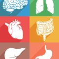 Natural Relief for UTIs: What Home Remedies are Safe and Effective?