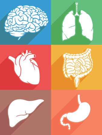 Natural Relief for UTIs: What Home Remedies are Safe and Effective?